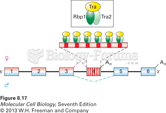 Model of splicing activation by Tra protein and the SR proteins Rbp1 and Tra2