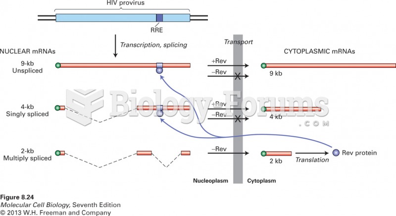 Transport of HIV mRNAs from the nucleus to the cytoplasm
