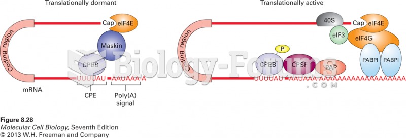 Model for control of cytoplasmic polyadenylation and translation initiation