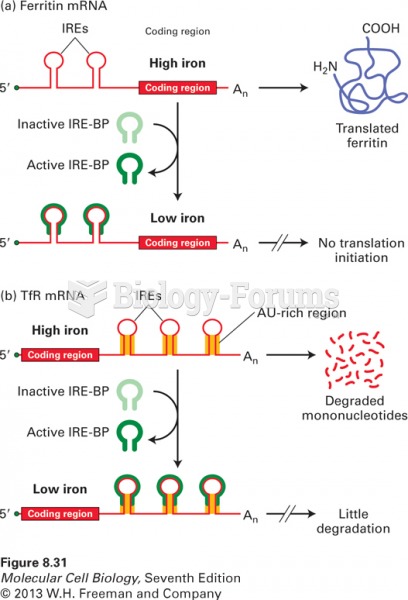 Iron-dependent regulation of mRNA translation and degradation
