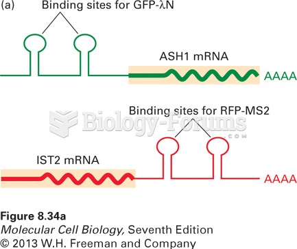 Transport of mRNP particles from a yeast mother cell into the bud