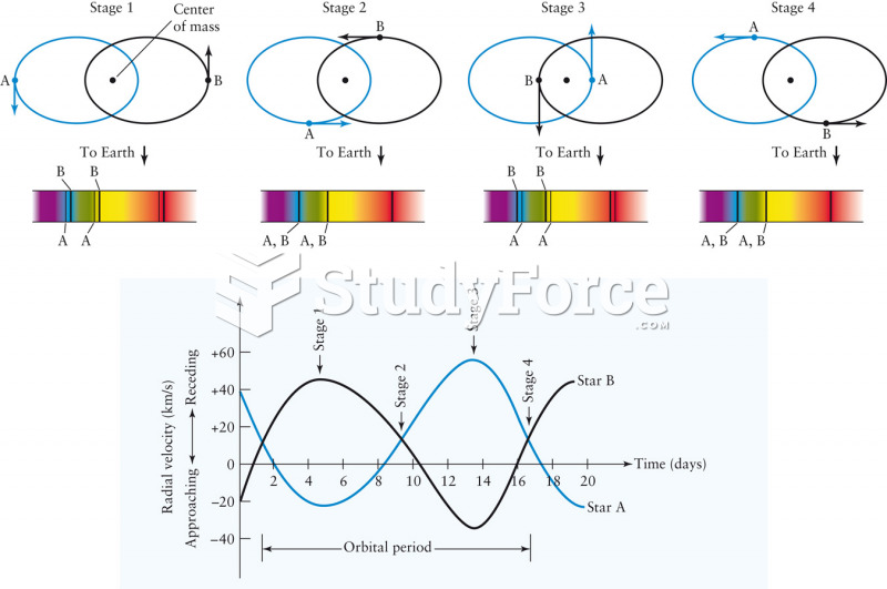 Spectral Line Motion in Binary Star Systems