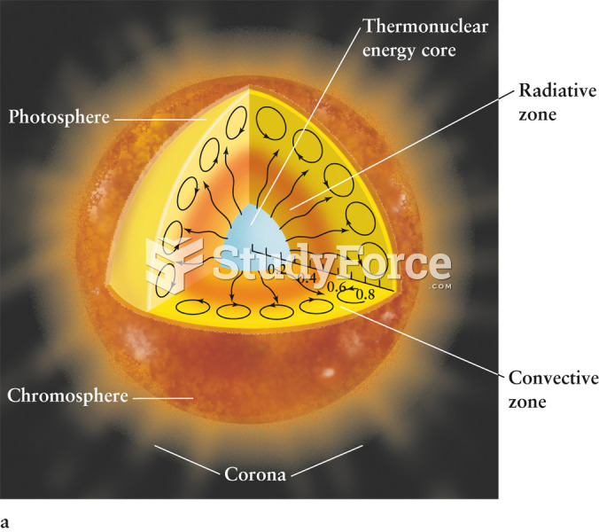 The Solar Model