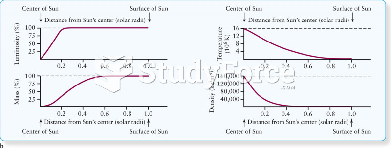 The Solar Model
