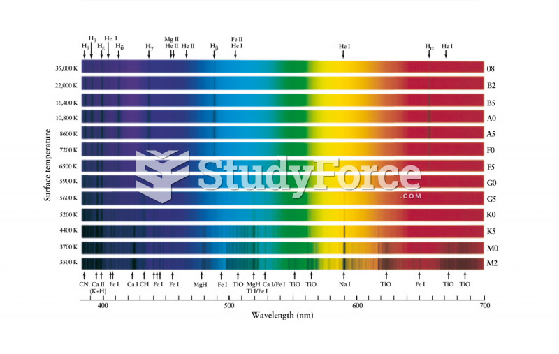 The Spectra of Stars with Different Surface Temperatures.