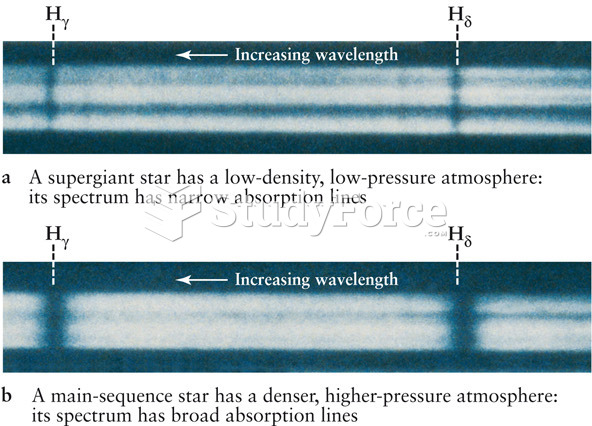 Stellar Size and Spectra