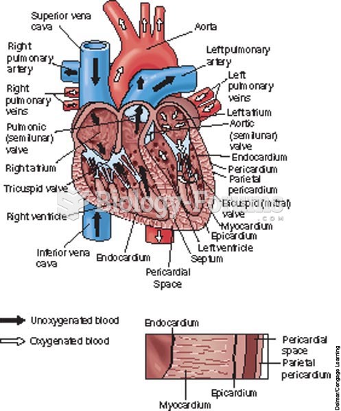Internal view of the heart with aorta, vena cava, and pulmonary arteries and veins.
