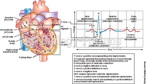 Relationship of the conduction system to an ECG strip.