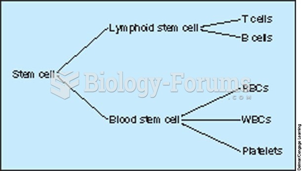 Origin of T cells, B cells, RBCs, WBCs, and platelets.