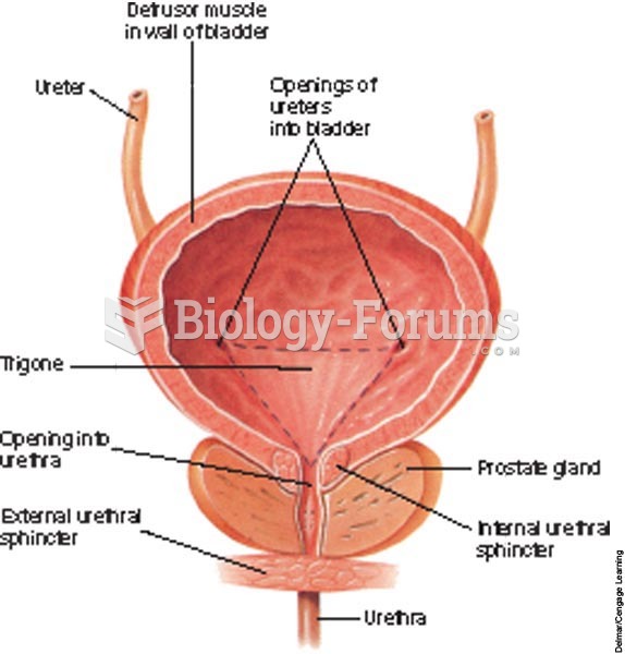 The anatomy of the urinary bladder.
