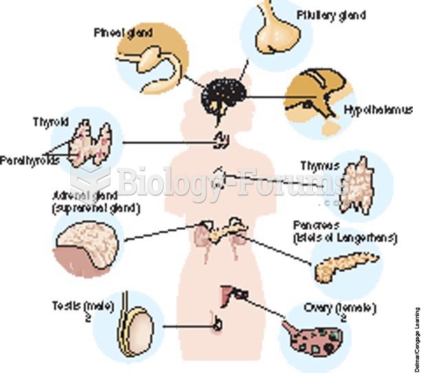Structures of the endocrine system.