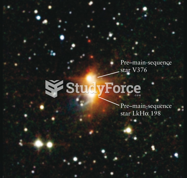 Pre–Main-Sequence Stars