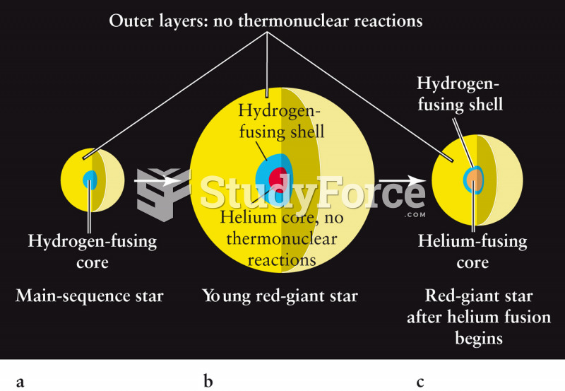 Evolution of Stars Off the Main Sequence