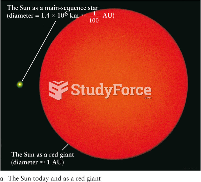 The Sun Today and as a Giant