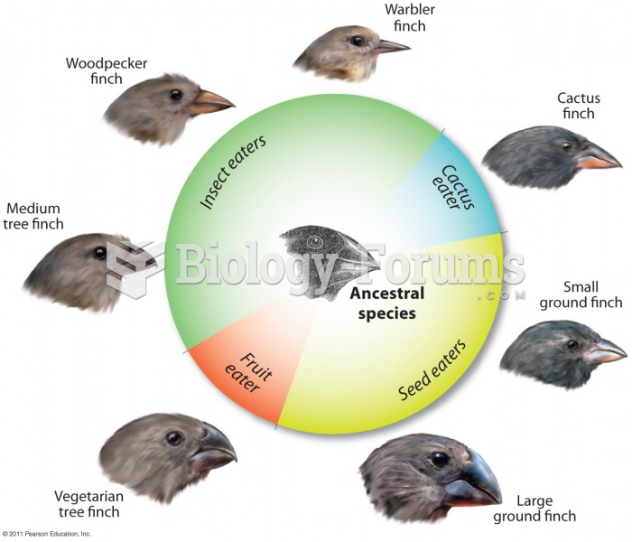 Seven of Darwin’s Finches