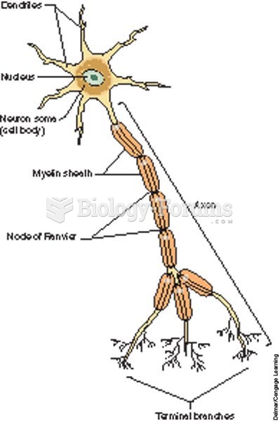 Neuron (nerve cell) structure.
