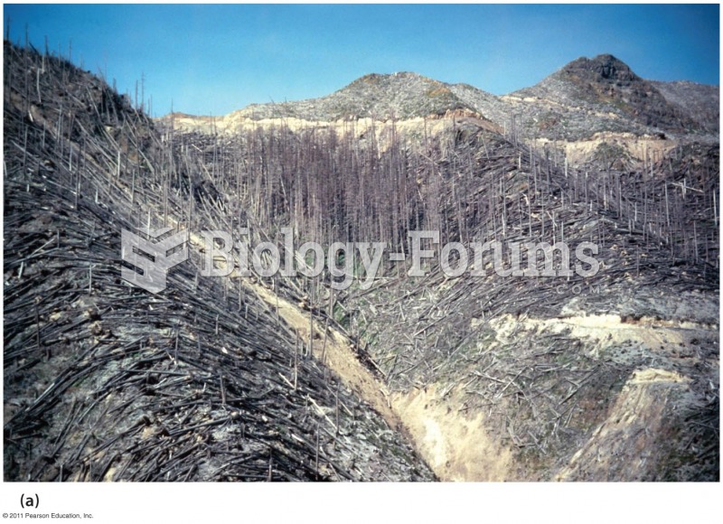 After the Eruption of Mount St. Helens in 1980