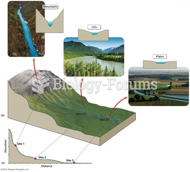 Longitudinal Profile of a River