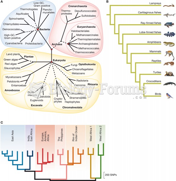 Phylogenies at different scales