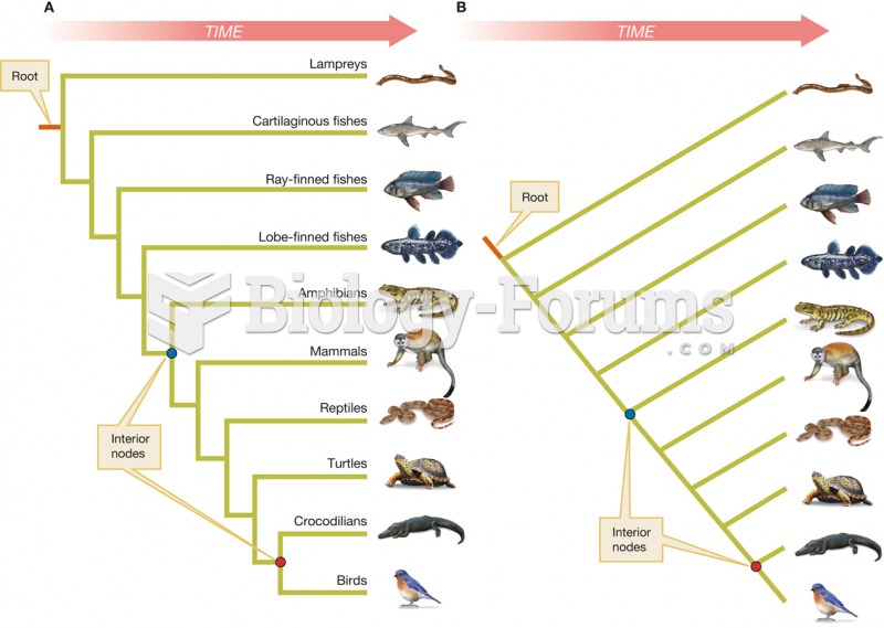 Two equivalent ways of drawing a phylogeny