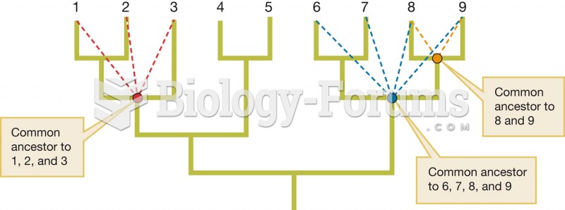 Interior nodes represent common ancestors