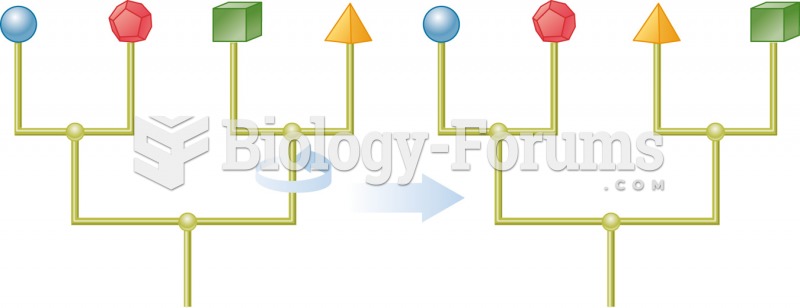 Rotating around any node leaves a phylogeny unchanged