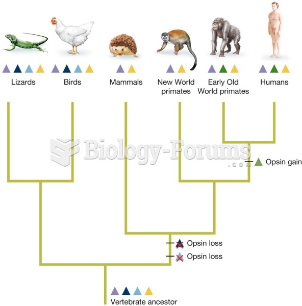 Evolution of tetrapod visual opsins
