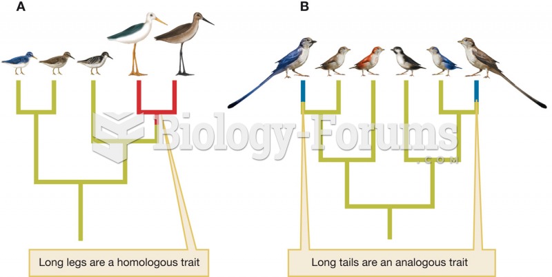 Homologous and analogous traits