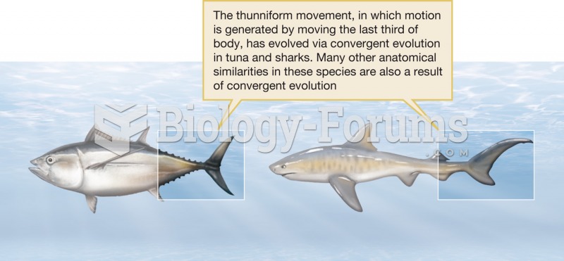 Convergent evolution in body forms