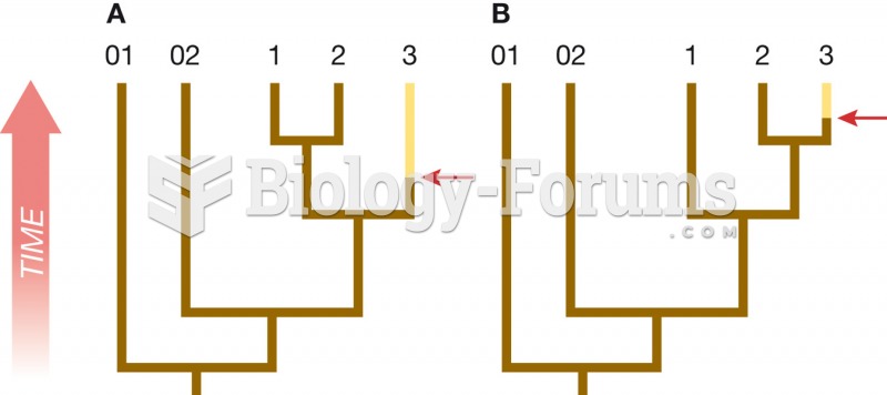 Case 2: The outgroups do not help resolve the polytomy