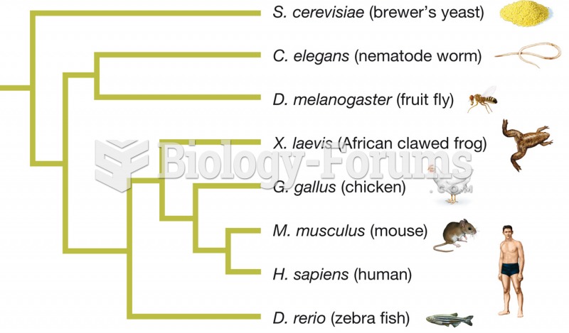 Phylogeny based on the FIT2 gene