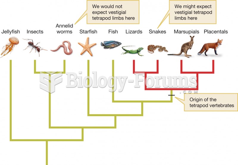 Common ancestry predicts where we should find vestigial limbs