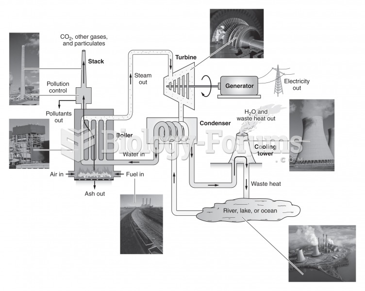 Diagram of a typical fossil-fueled power plant