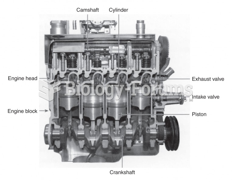 Cutaway diagram of a four cylinder gasoline engine