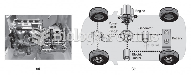 Engine and electric motor for the Toyota Prius