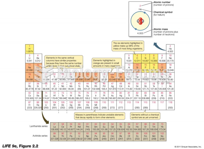 The Periodic Table