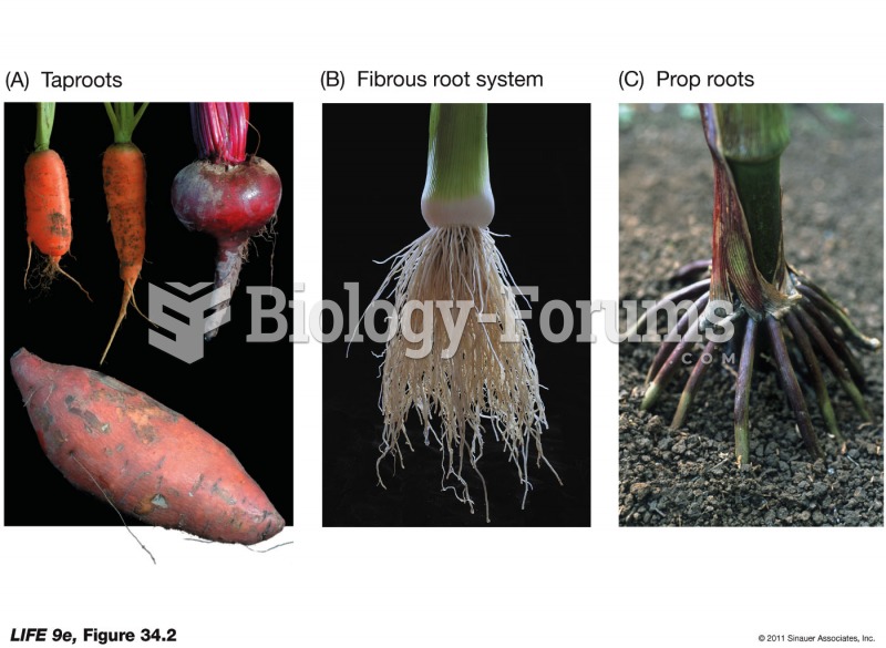 Root Systems of Eudicots and Monocots