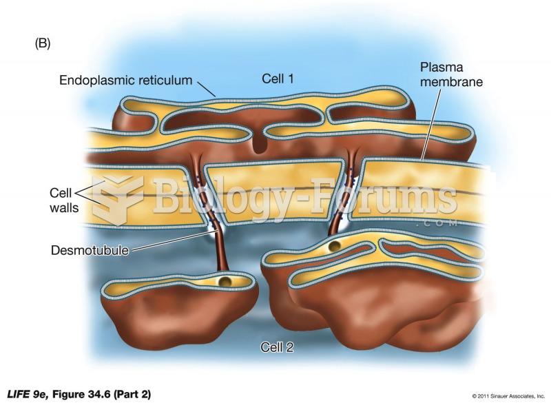 Plasmodesmata (Part 2)