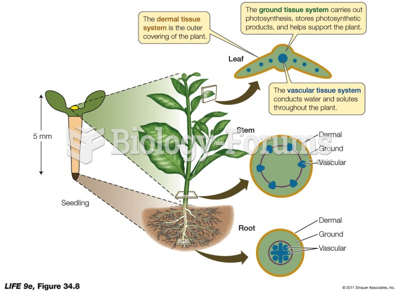 Three Tissue Systems Extend Throughout the Plant Body