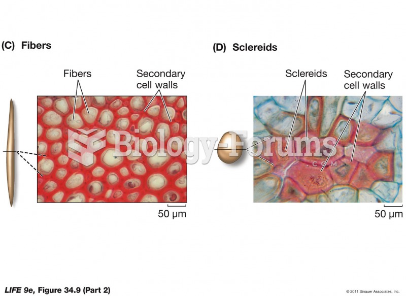 Plant Cell Types (Part 2)