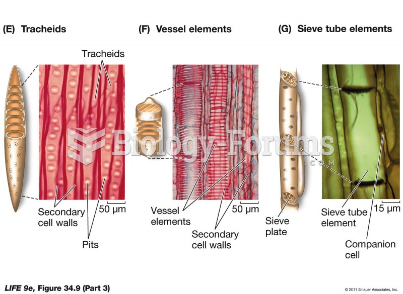 Plant Cell Types (Part 3)