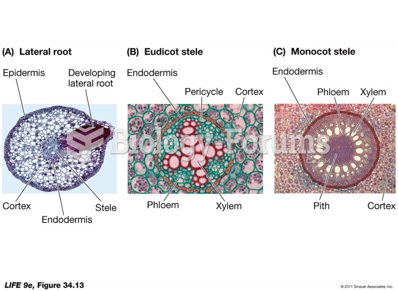 Products of the Root's Primary Meristems