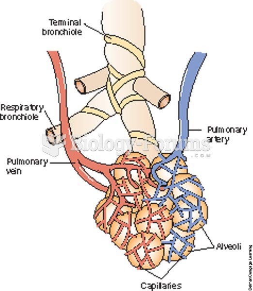 Gas exchange occurs at the alveolar capillary membrane.