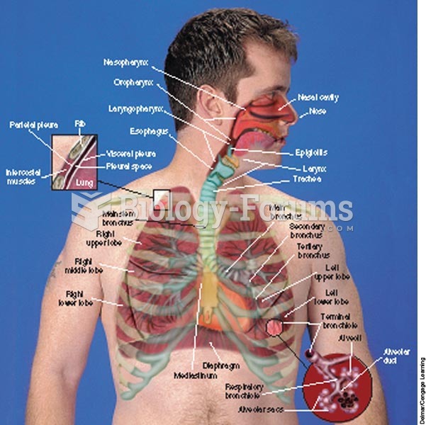 Structures of the respiratory tract.
