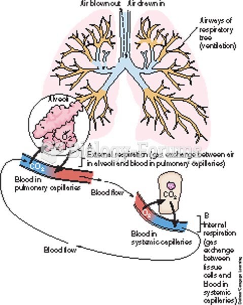 A, External respiration; B, internal respiration.