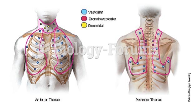 Location of breath sounds.