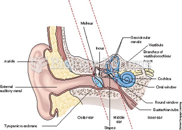 Structures of the ear.