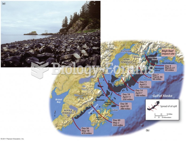 The Exxon Valdez Disaster