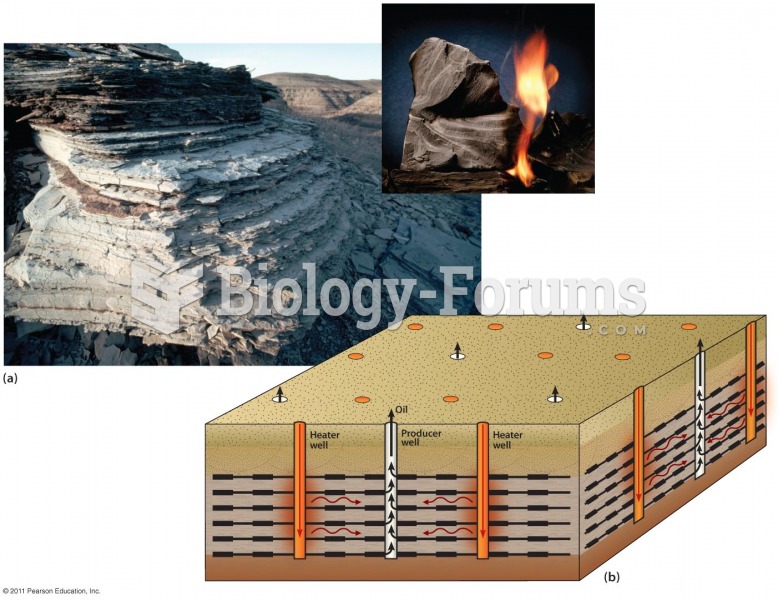 Heating Oil Shale Can Generate Recoverable Oil