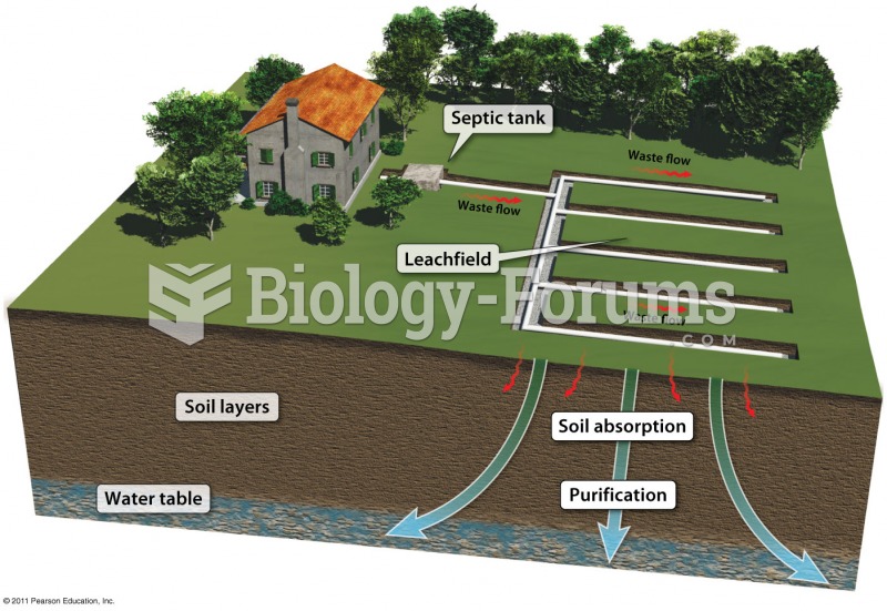 Soil Cleans Water